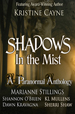 marianne stillings shadows in the mist